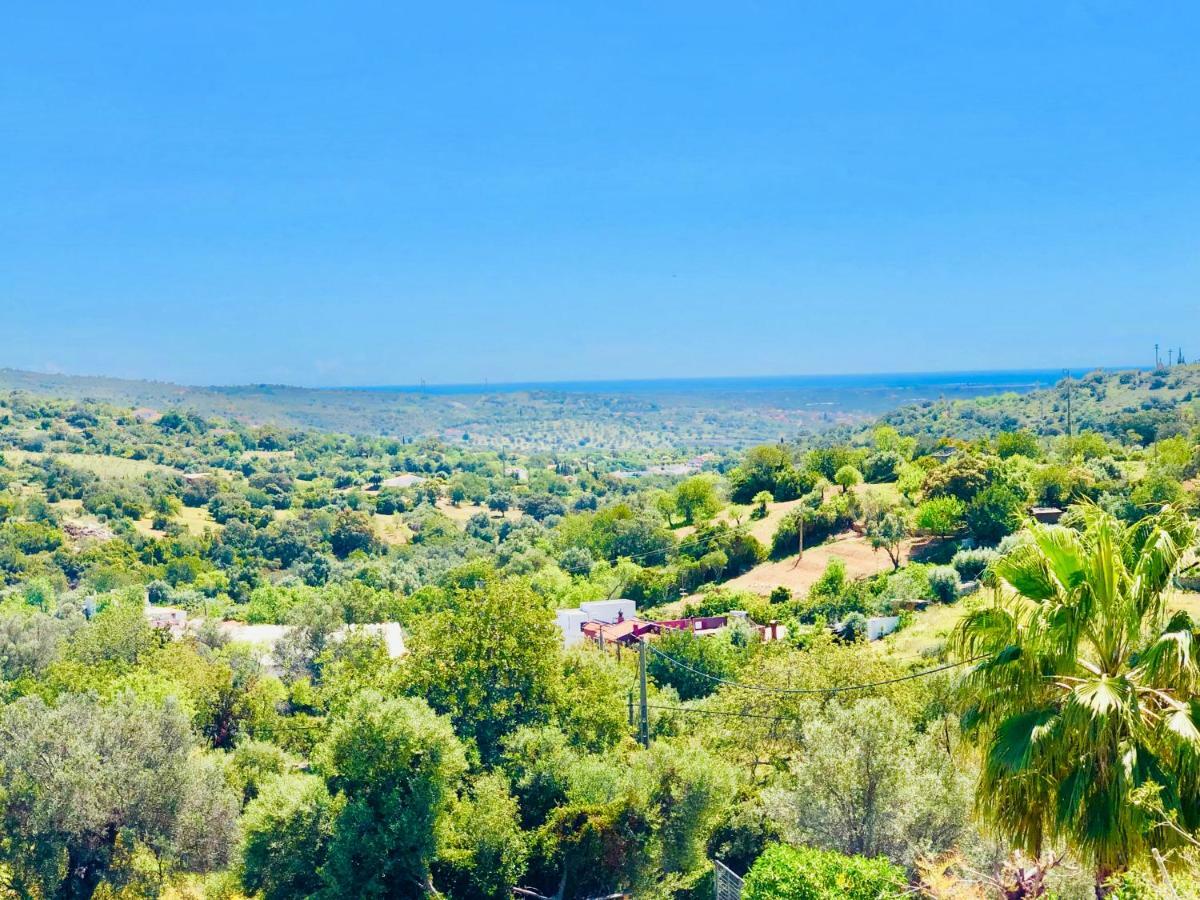 Luxury Casa Da Fonte - Private Heated Salt Pool Βίλα Φάρο Εξωτερικό φωτογραφία